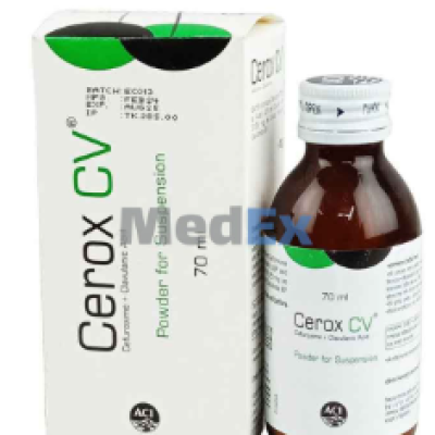 Cerox CV 70  Suspension